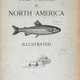 Illustration for article titled Fishes of North America That are Captured on Hook and Line